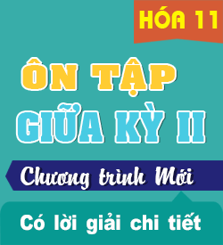 Ôn tập Giữa học kỳ II (KNTT_HH11)